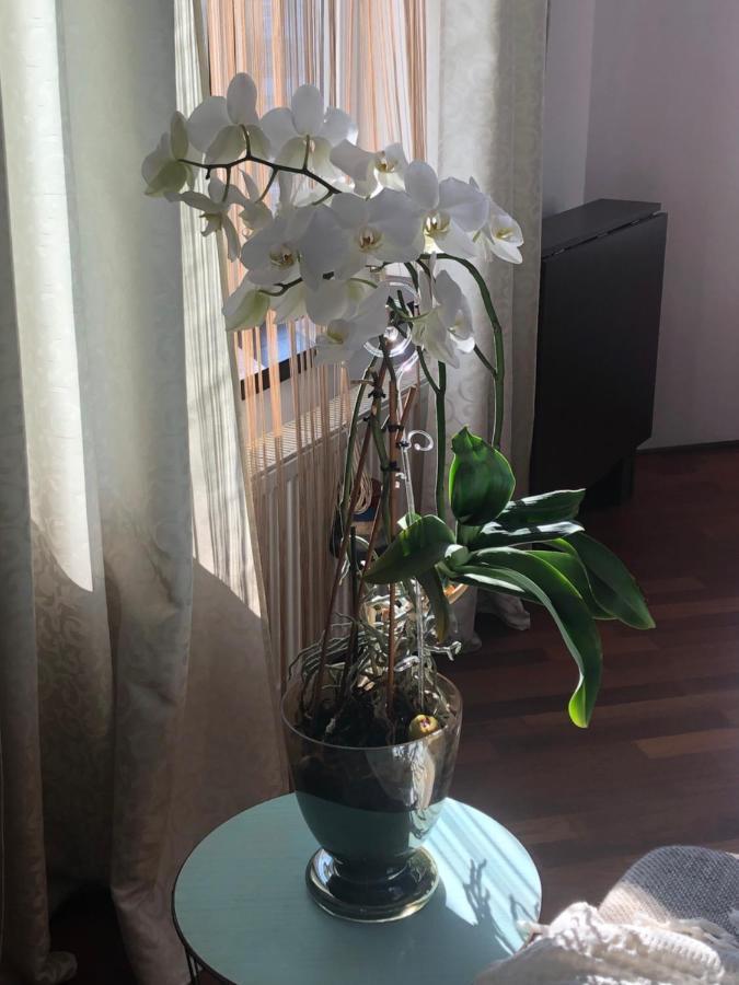 Old Town Lipscani Apartament